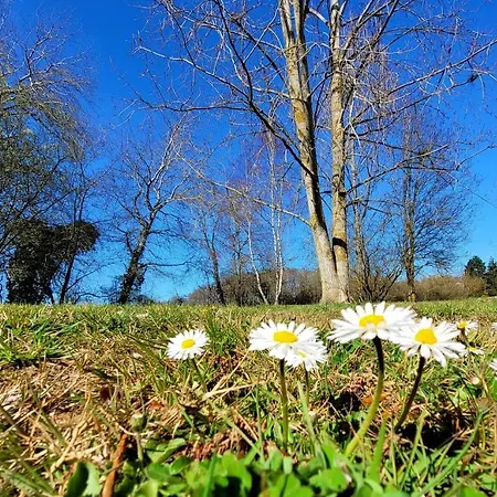 La Grande Bruyere Touffréville