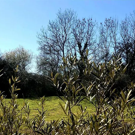 La Grande Bruyere 2*