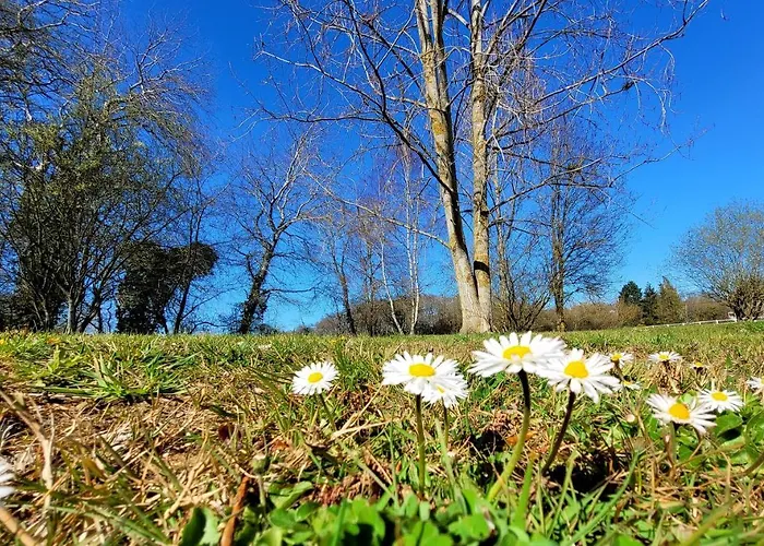 La Grande Bruyere Touffréville
