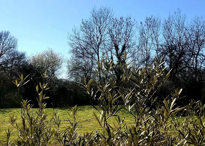 La Grande Bruyere 2*