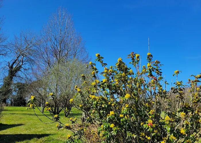 La Grande Bruyere 2* Touffréville